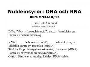 Nukleinsyror DNA och RNA Kurs MNXA 1012 HansErik
