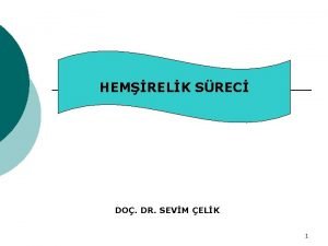 HEMRELK SREC DO DR SEVM ELK 1 SRE