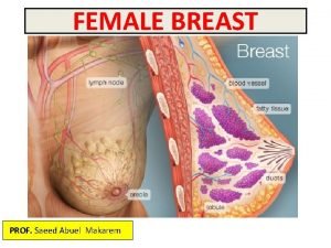 Blood supply of the breast