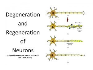 Neuron sheath