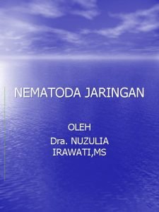 NEMATODA JARINGAN OLEH Dra NUZULIA IRAWATI MS NEMATODA