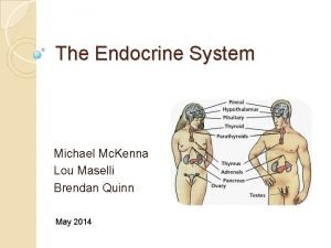 The Endocrine System Michael Mc Kenna Lou Maselli