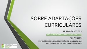 SOBRE ADAPTAES CURRICULARES RESUMO BSICO DOS PAR METROS