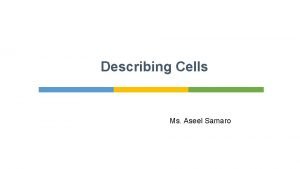 Describing Cells Ms Aseel Samaro Introduction Red blood