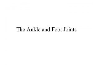 The Ankle and Foot Joints Function of the