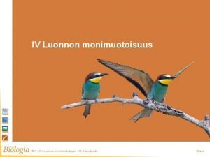 IV Luonnon monimuotoisuus BI 1 IV Luonnon monimuotoisuus