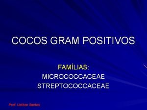 COCOS GRAM POSITIVOS FAMLIAS MICROCOCCACEAE STREPTOCOCCACEAE Prof Ueliton