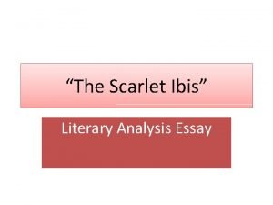 Scarlet ibis essay