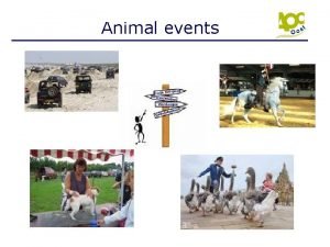 Animal events Evenement Een evenement is een bijeenkomst