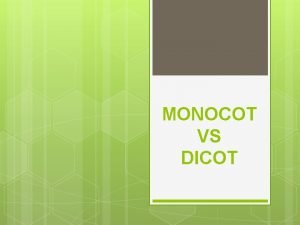 Monocot vs dicot cotyledons