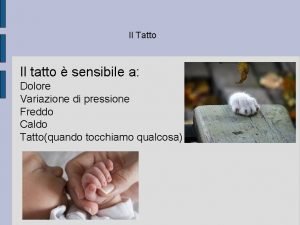 Il Tatto Il tatto sensibile a Dolore Variazione