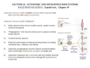 LECTURE 16 AUTONOMIC AND NEUROENDOCRINE SYSTEMS REQUIRED READING