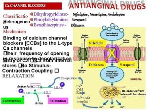 Mechanism of action of calcium channel blocker