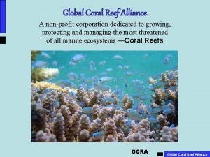 Global coral reef alliance