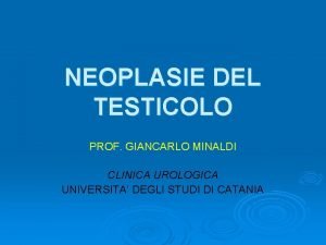 Minaldi urologo catania