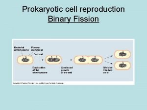 Prokaryotic cell reproduction Binary Fission Eukaryotic Cell Cycle