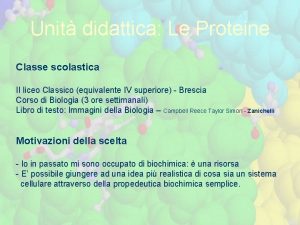 Unit didattica Le Proteine Classe scolastica II liceo