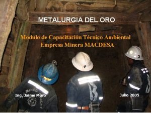 METALURGIA DEL ORO Modulo de Capacitacin Tcnico Ambiental