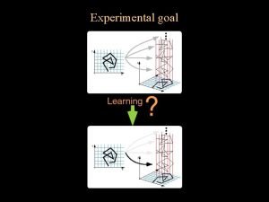 Experimental goal Experimental Paradigm Results Illusions of nonrigidity