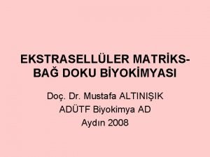 EKSTRASELLLER MATRKSBA DOKU BYOKMYASI Do Dr Mustafa ALTINIIK