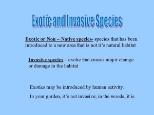 Exotic or Non Native species species that has