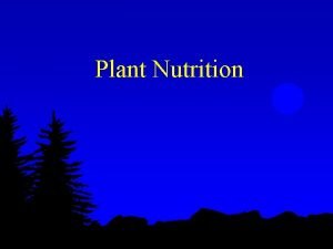 Plant Nutrition Uptake of Nutrients l Macro nutrients