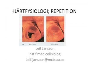 HJRTFYSIOLOGI REPETITION Leif Jansson Inst f med cellbiologi