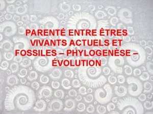 PARENT ENTRE TRES VIVANTS ACTUELS ET FOSSILES PHYLOGENSE