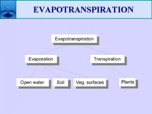 Evapotranspiration