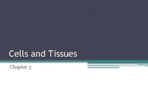 Body tissues chapter 3 cells and tissues