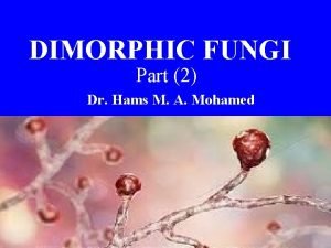 DIMORPHIC FUNGI Part 2 Dr Hams M A