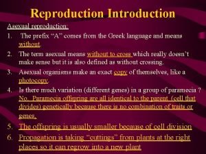 Prefix of reproduce