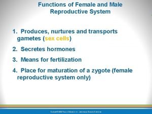 Disease traductor Disease traductor