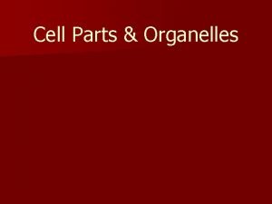 Cell Parts Organelles 1 Cell Wall n A