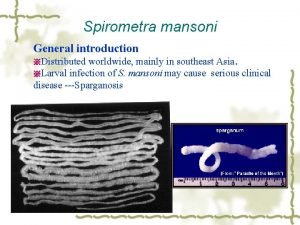 Spirometra mansoni scolex