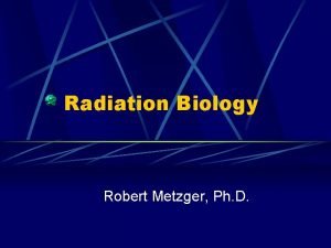 Radiation Biology Robert Metzger Ph D Biologic Effects