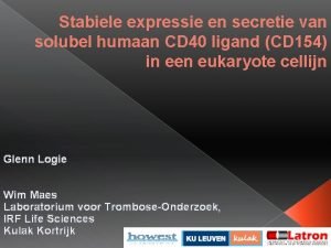 Stabiele expressie en secretie van solubel humaan CD