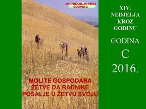 XIV NEDJELJA KROZ GODINU GODINA C 2016 U