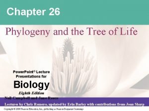 Chapter 26 phylogeny and the tree of life