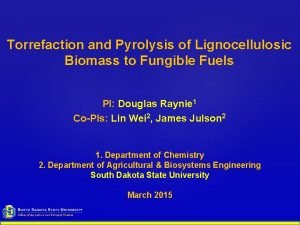 Torrefaction and Pyrolysis of Lignocellulosic Biomass to Fungible