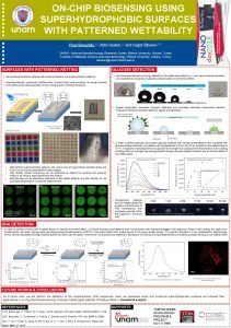 ONCHIP BIOSENSING USING SUPERHYDROPHOBIC SURFACES WITH PATTERNED WETTABILITY