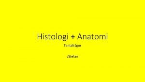 Histologi Anatomi Tentafrgor Stefan Frga 13 4 p