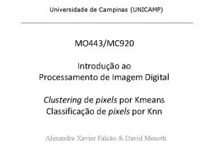 Universidade de Campinas UNICAMP MO 443MC 920 Introduo