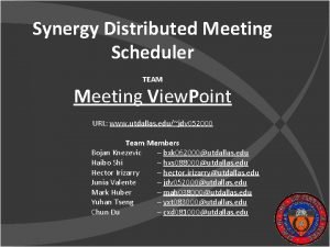Synergy Distributed Meeting Scheduler TEAM Meeting View Point