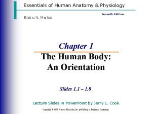 Essentials of Human Anatomy Physiology Seventh Edition Elaine