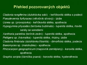 Pehled pozorovanch objekt Cladonia rangiferina dutohlvka sob kekovit