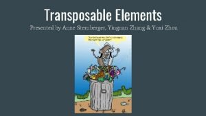 Transposable Elements Presented by Anne Sternberger Yingnan Zhang