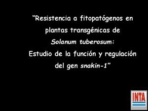 Resistencia a fitopatgenos en plantas transgnicas de Solanum