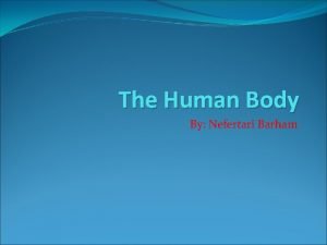 The Human Body By Nefertari Barham Table Of