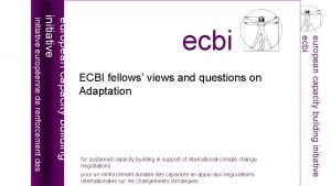 ECBI fellows views and questions on Adaptation for